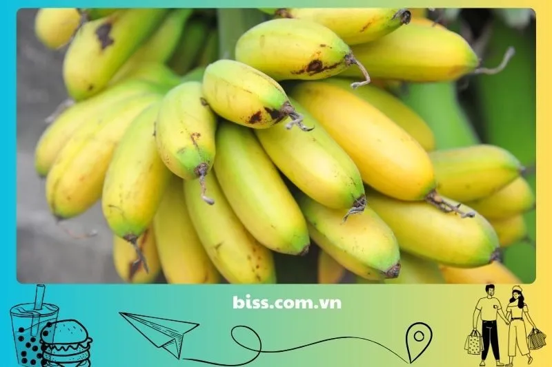 Chuối Ngự chợ Rồng