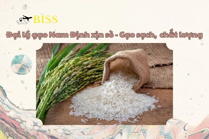 Đại lý gạo Nam Định xịn sò - Gạo sạch, ngon hết nước chấm 2025