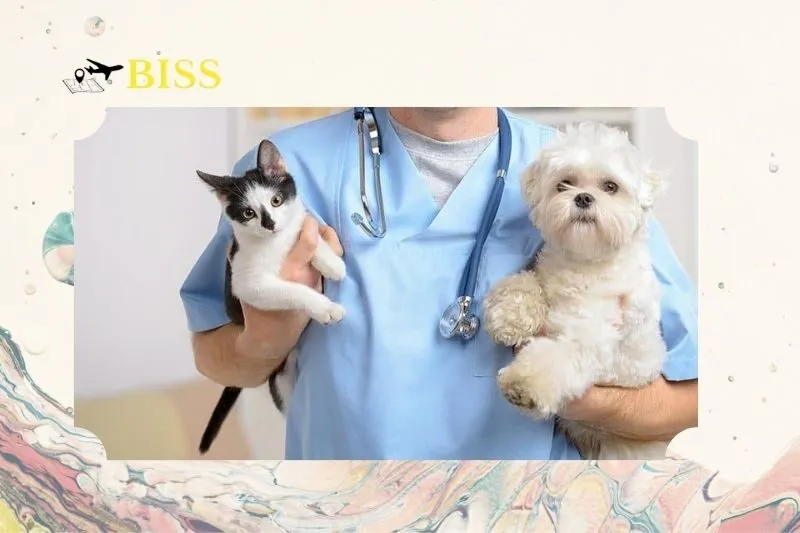 Phòng khám thú y Nam Định