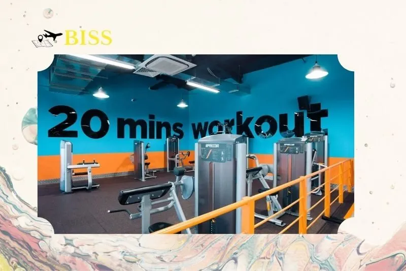 Phòng tập The New Fitness