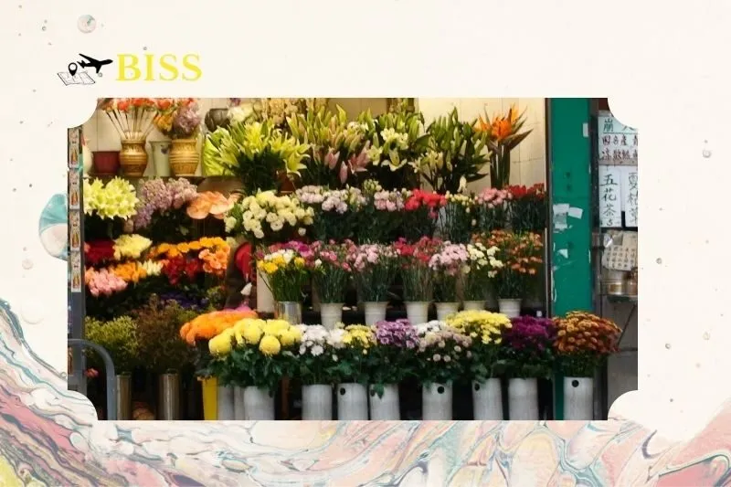 Shop hoa tươi Nam Định - Hồng Quang