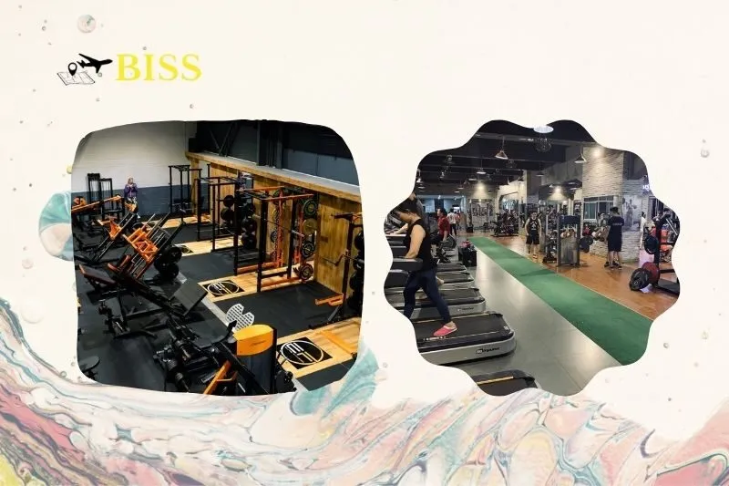 Top 10 Phòng Tập Gym Nam Định Chất Lượng, Địa Chỉ Uy Tín