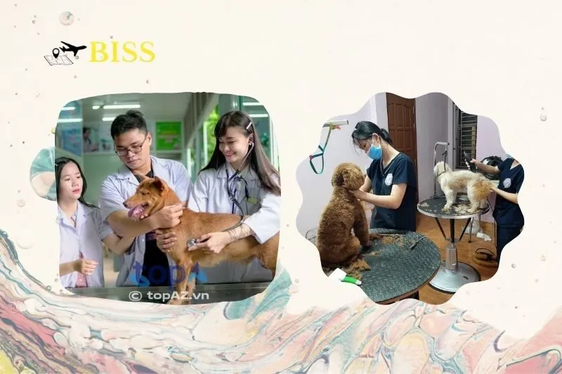 Top 5 Phòng Khám Thú Y Nam Định Uy Tín Và Chất Lượng