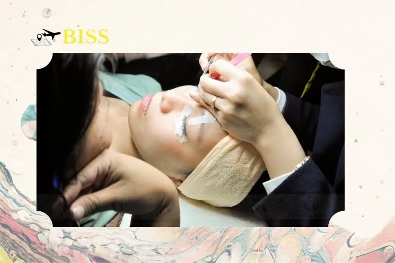 Yến Vịt Nối Mi