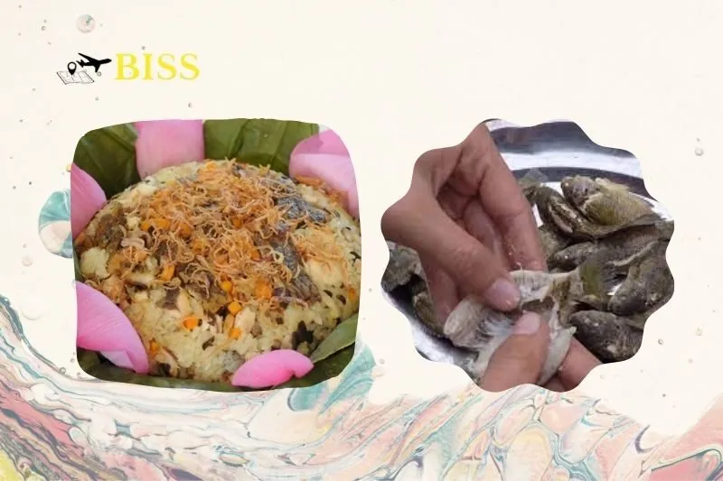 Cách Làm Xôi Cá Rô Nam Định Ngon Mềm Dẻo