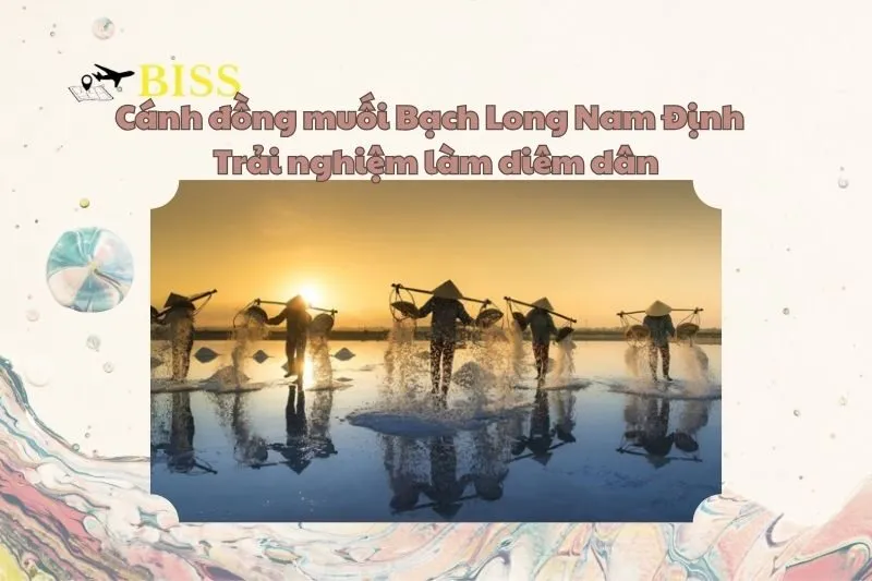 Cánh đồng muối Bạch Long Nam Định – Trải nghiệm làm diêm dân