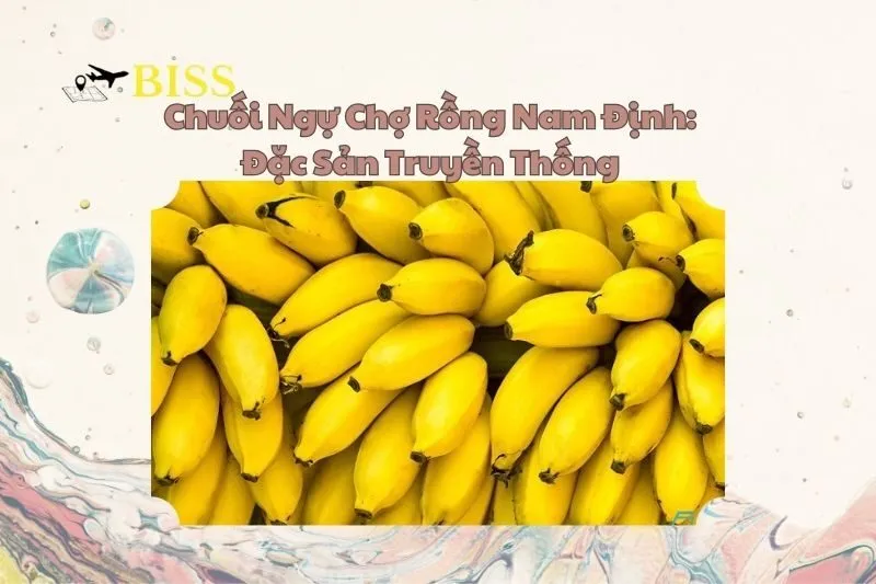 Chuối Ngự Chợ Rồng Nam Định: Đặc Sản Truyền Thống