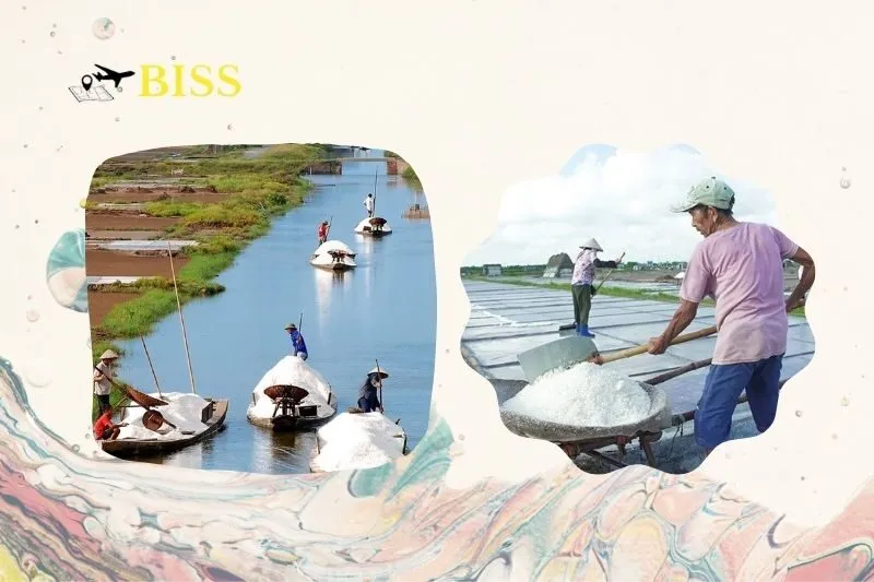 Hướng dẫn di chuyển đến Cánh đồng muối Bạch Long Nam Định