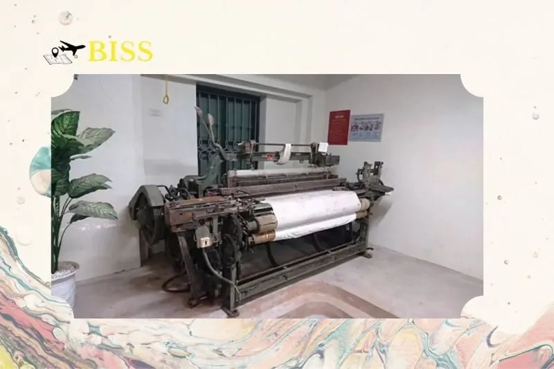 Kiến trúc và không gian trưng bày