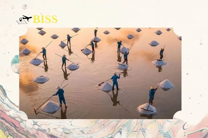 Nghề làm muối ở Nam Định có gì đặc biệt?