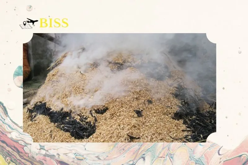 Những Địa Điểm Tại Nam Định Nổi Tiếng Với Cá Nướng Úp Chậu