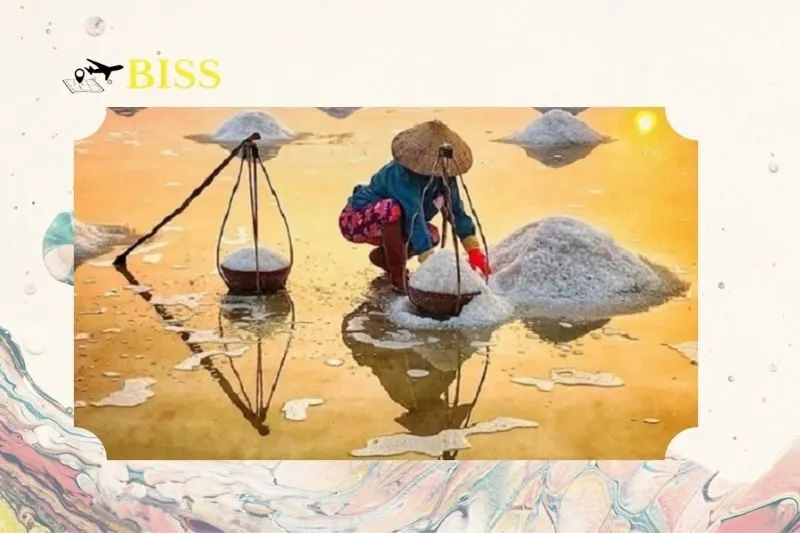 Quá trình làm muối tại Cánh đồng muối Bạch Long Nam Định có gì đặc biệt?