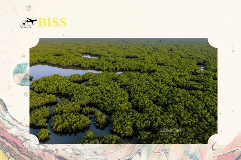 Thời điểm lý tưởng để khám phá Vườn quốc gia Xuân Thủy Nam Định