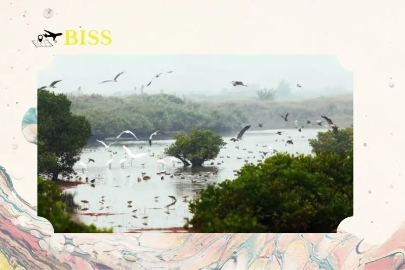 Tìm hiểu nét độc đáo trong kiến trúc bản địa