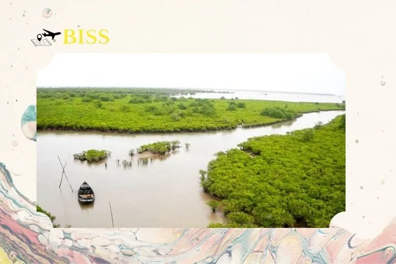 Trải nghiệm đi thuyền khám phá Vườn quốc gia Xuân Thủy Nam Định