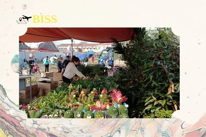 Văn hóa và tín ngưỡng tại chợ Viềng Nam Định