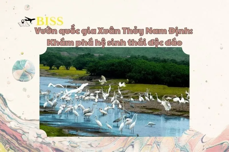 Vườn quốc gia Xuân Thủy Nam Định: Khám phá hệ sinh thái độc đáo