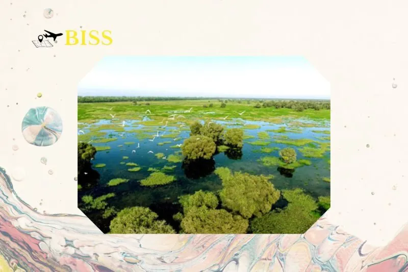 Các khu vực chính trong khu dự trữ