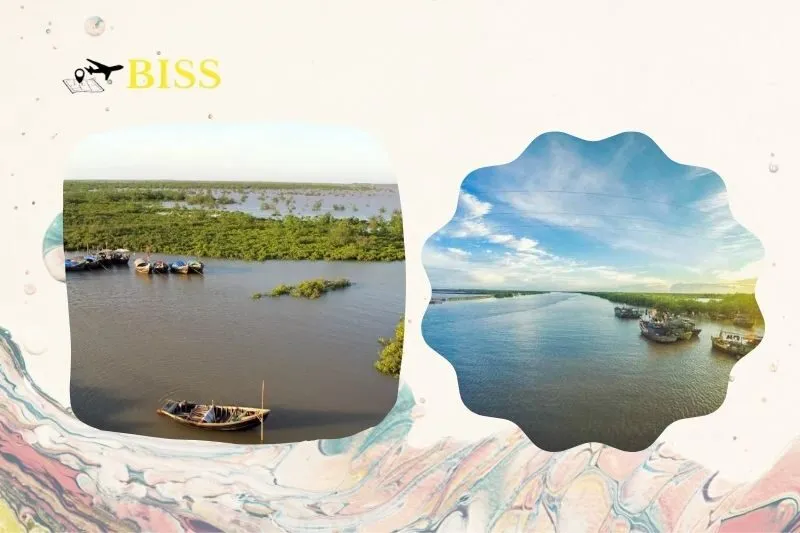 Đặc điểm sinh thái của khu dự trữ sinh quyển đồng bằng châu thổ sông Hồng Nam Định