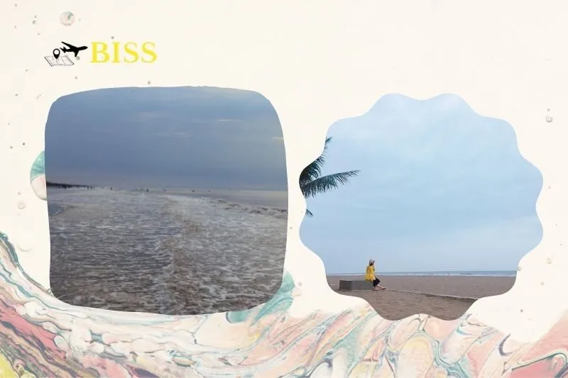 Giới thiệu về Biển Quất Lâm Nam Định