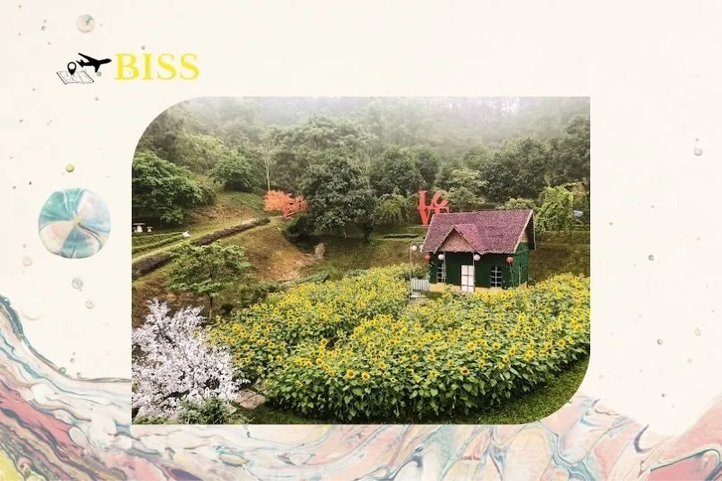 Lời khuyên cho chuyến du lịch tại khu du lịch sinh thái Núi Ngăm