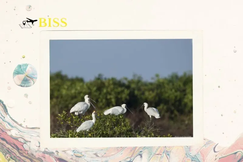 Tiềm năng du lịch sinh thái tại Nam Định