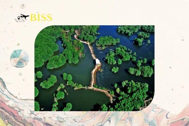 Tương lai của khu dự trữ sinh quyển